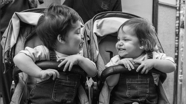 They are often naturally playful