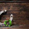 Article image for: Benefits of Hanging a Horseshoe at Home Entrance