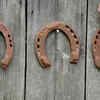 How to Place a Horseshoe for Best Results