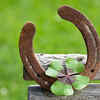 Vastu and Feng Shui Perspective on Horseshoe Placement