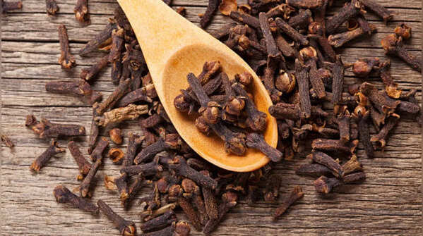 Clove