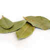 Bay Leaf