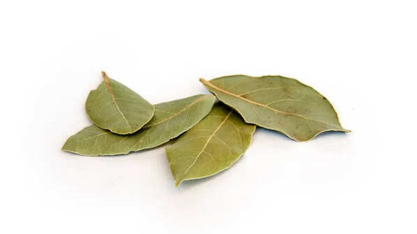Bay Leaf