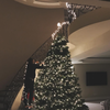Article image for: <i class="tbold">cinderella</i>-inspired staircase