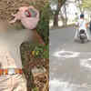 Article image for: Punjab cop on way to duty shot dead by bike-borne assailants