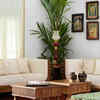Add brass decor items