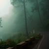 Delhi to Kasauli