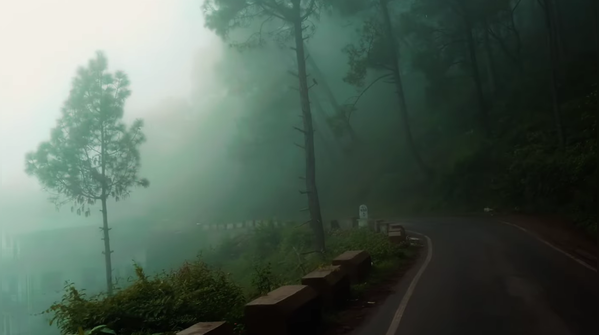 Delhi to Kasauli