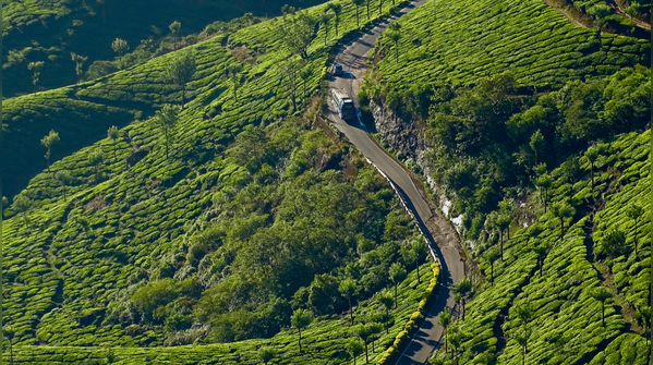 Chikmagalur to Munnar