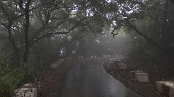 India’s most scenic monsoon road trips: safety tips travellers should know