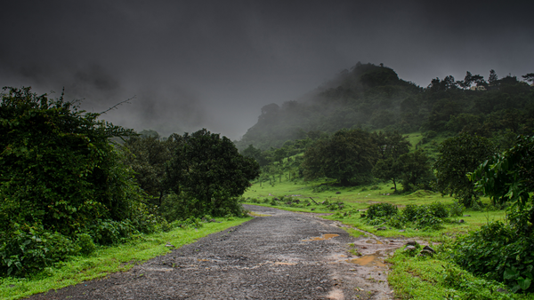 Rain Photos
