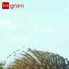 Article image for: Peacock Spotted Flaunting Vibrant Feathers In Rajasthan