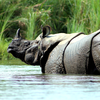 Chitwan National Park, Nepal