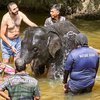 Article image for: Krau Wildlife Reserve, <i class="tbold">malaysia</i>