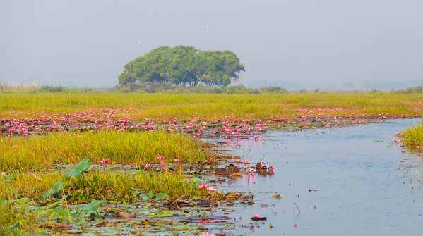 Bueng Boraphet, Thailand