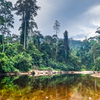 Article image for: Taman Negara, <i class="tbold">malaysia</i>