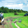 Minneriya National Park, <i class="tbold">sri lanka</i>