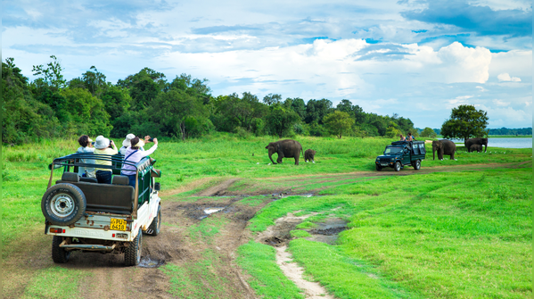 Minneriya National Park, Sri Lanka