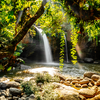 Article image for: Khao Yai National Park, Thailand