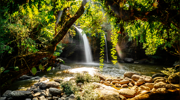 Khao Yai National Park, Thailand