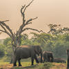 Yala National Park, <i class="tbold">sri lanka</i>