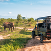 10 underrated wildlife destinations in <i class="tbold">asia</i> that are less crowded than popular safari parks