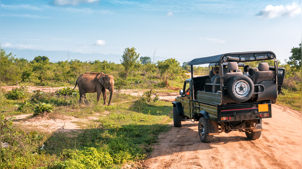 10 underrated wildlife destinations in Asia that are less crowded than popular safari parks