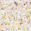 Terrazzo Flooring