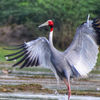 Article image for: Menar, Rajasthan
