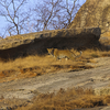 Article image for: Bera, Rajasthan