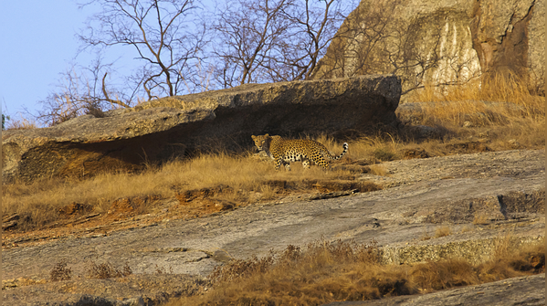Bera, Rajasthan