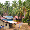 Article image for: <i class="tbold">6</i> incredible Indian villages where humans and wildlife coexist closely
