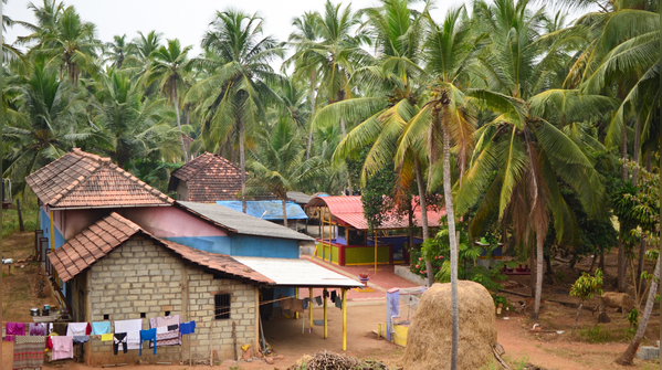 6 incredible Indian villages where humans and wildlife coexist closely