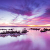  Laguna Salada de Torrevieja, Spain