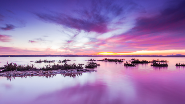 Pink Images
