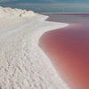 Las Coloradas, Mexico
