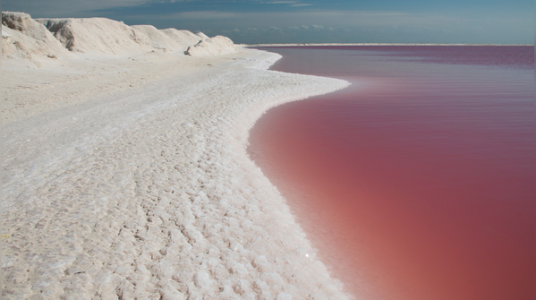Las Coloradas, Mexico