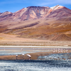  Laguna Colorada, Bolivia