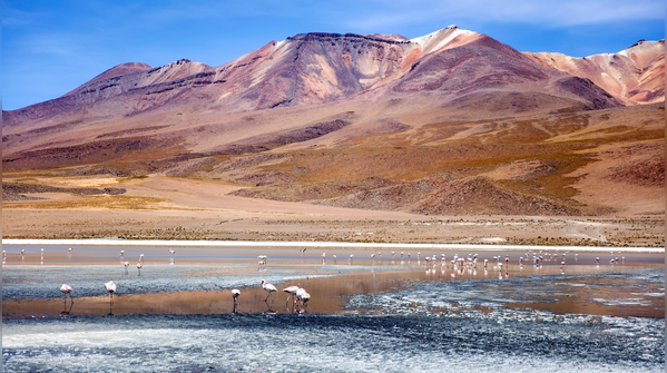 Laguna Colorada, Bolivia