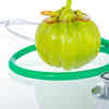 What exactly is Garcinia Cambogia?