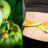 Block fat Production