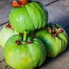 Why is Garcinia Cambogia popular?
