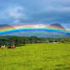 Why so many rainbows