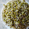 Sprouted moong