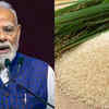 Article image for: What did PM Modi say?