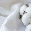 Why cotton is often a better choice