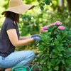 Article image for: 2. Gardening: The mood booster that grows on you