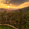 Article image for: Wayanad, Kerala