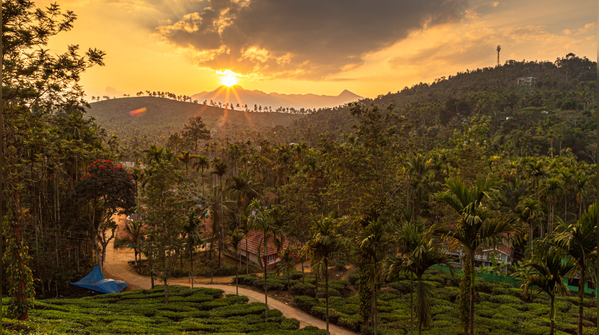 Wayanad, Kerala