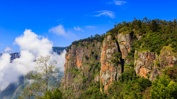 Kodaikanal, Tamil Nadu